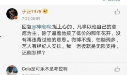 娱乐圈吃瓜文件,揭秘“吃瓜文件”背后的真相